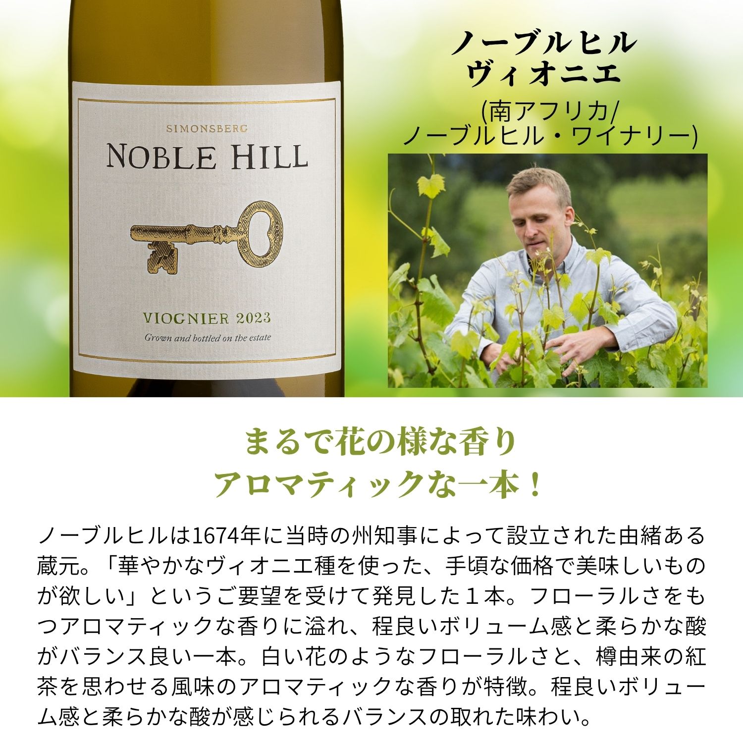 ノーブルヒル・ヴィオニエ [ ワイン 白ワイン コクあり まろやか 南アフリカ ギフト 贈り物 贈答品 プレゼント 手土産 おすすめ 人気 記念日 御祝 お祝 御礼 お礼 御中元 お中元 御歳暮 お歳暮 母の日 父の日 敬老の日 クリスマス ] v-yamazaki-10004171 ヴィノスやまざき 楽天市場店 サンプル画像2