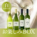 【白4本】お楽しみBOX 10,000円 ワインセット 白ワイン