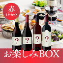 【赤4本】お楽しみBOX 5,000円 ワインセット 赤ワイン