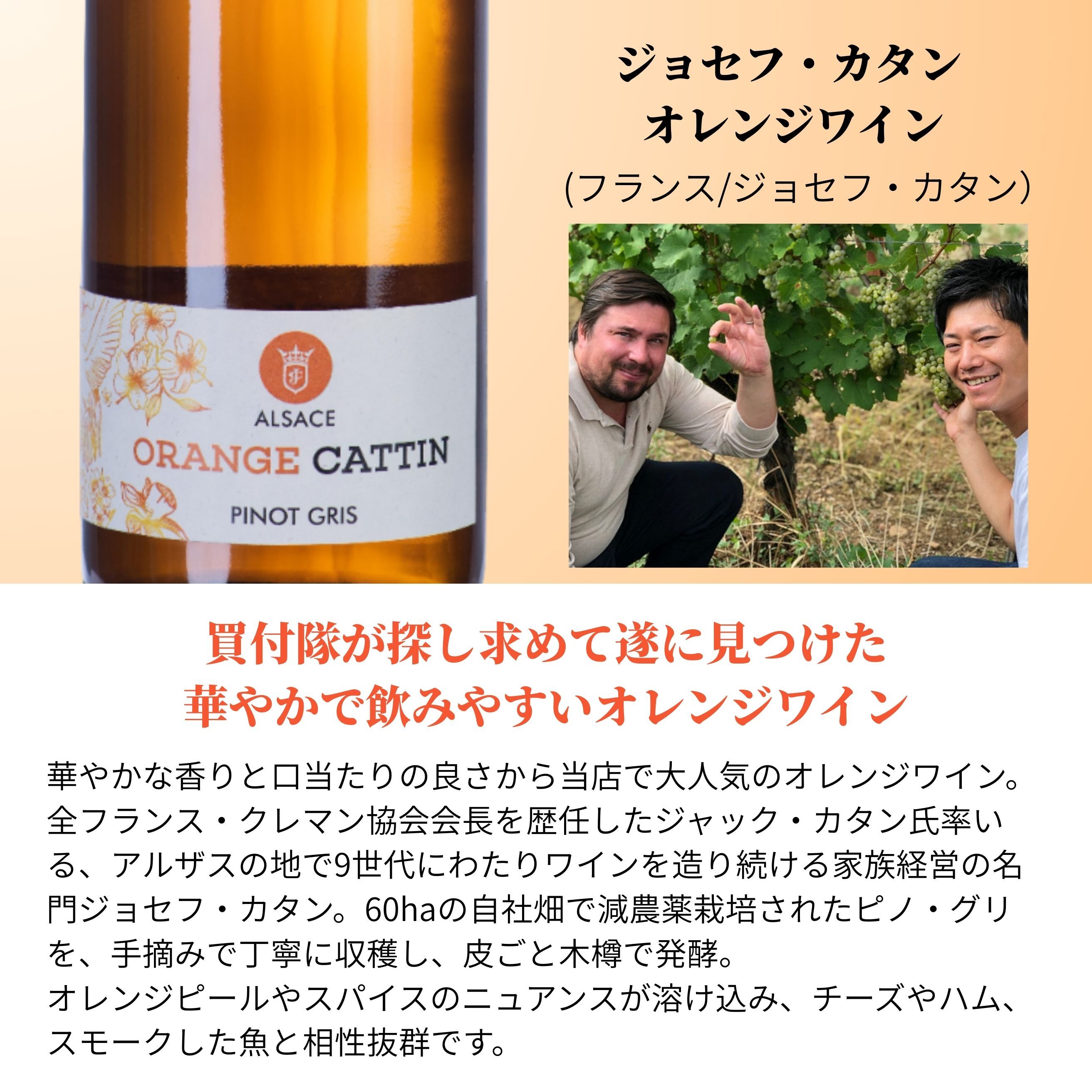 ヴィノスやまざき 楽天市場店の今アツい！ロゼ&オレンジ人気蔵直ワインセット 5本 ロゼワイン オレンジワイン フランス アメリカ 送料無料｜アングル2