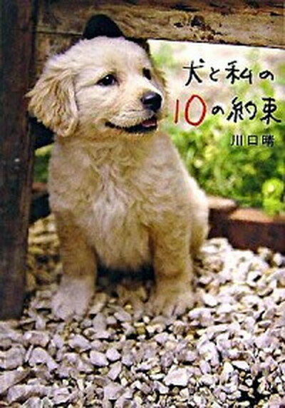 【中古】犬と私の10の約束 /文藝春秋/川口晴（単行本）
