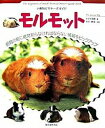 【中古】モルモット 小動物ビギナ-ズガイド /誠文堂新光社/すずき莉萌(単行本)