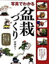 【中古】写真でわかる盆栽づくり /西東社/時崎厚(単行本)