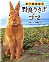 【中古】茅ケ崎海岸の野良うさぎゴマ /宝島社/内藤雅光(単行本)
