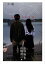 【中古】小説ヒミズ 茶沢景子の悠想 /講談社/古谷実(単行本(ソフトカバー)) 385円