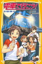 電車で行こう！ 北斗星に願いを /集英社/豊田巧（新書）