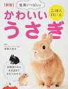 【中古】写真いっぱい!かわいいうさぎ 品種&飼い方 新版/西東社/斉藤久美子(単行本(ソフトカバー))