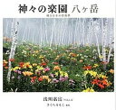 【中古】神々の楽園八ケ岳 縄文日本の原風景/ヒカルランド/浅川嘉富(大型本)