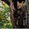 【中古】ふるさとのねこ /クレヴィス/岩合光昭(単行本(ソフトカバー))
