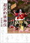 【中古】染五郎の超訳的歌舞伎 /小学館/市川染五郎(7世)(単行本) 445円