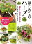 【中古】はじめてのハ-ブ 育てる・食べる・役立てる /池田書店/佐々木薫（アロマテラピ-）（単行本）