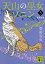 【中古】天山の巫女ソニン 3 /講談社/菅野雪虫(文庫) 544円