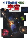 【中古】宇宙 2版/小学館/池内了（大型本）