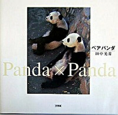 yÁzyAp_ Panda~panda /w/ciPs{j