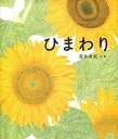 【中古】ひまわり /金の星社/荒井真紀(大型本)
