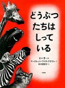 【中古】どうぶつたちはしっている /文遊社/イ-ラ(単行本)