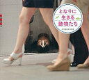【中古】となりに生きる動物たち /講談社/共同通信社(単行本)(3)