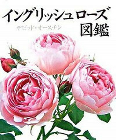 ◆◆◆非常にカバーに日焼けがあります。きれいな状態です。迅速・丁寧な発送を心がけております。【毎日発送】 商品状態 著者名 デビッド・オ−スチン、中谷友紀子 出版社名 ガイアブックス 発売日 2007年11月1日 ISBN 9784882826323