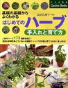 【中古】はじめてのハ-ブ手入れと育て方 基礎の基礎からよくわかる /ナツメ社/高浜真理子(単行本)