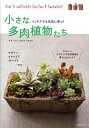 【中古】小さな多肉植物たち インドアでも元気に育つ! /主婦の友社/羽兼直行(単行本(ソフトカバー))