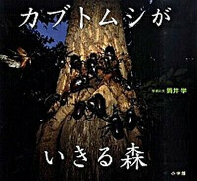 【中古】カブトムシがいきる森 /小学館/筒井学（単行本）