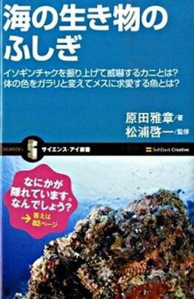 【中古】海の生き物のふしぎ イソギンチャクを振り上げて威嚇するカニとは？体の色 /SBクリエイティブ/原田雅章（新書）