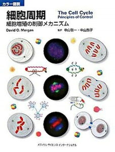 【中古】細胞周期 細胞増殖のメカニズム /メディカル・サイエンス・インタ-ナショナ/デ-ビッド・O.モ-ガン(単行本(ソフトカバー))
