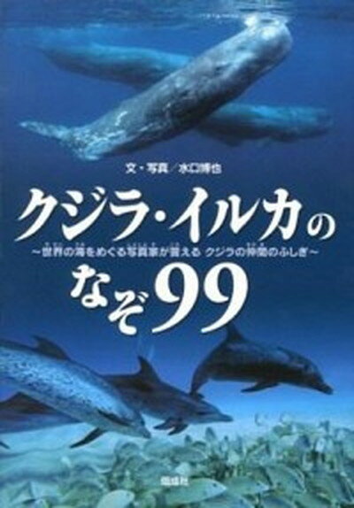 【中古】クジラ・イルカのなぞ99 世界の海をめぐる写真家が答えるクジラの仲間のふしぎ /偕成社/水口博也（単行本）