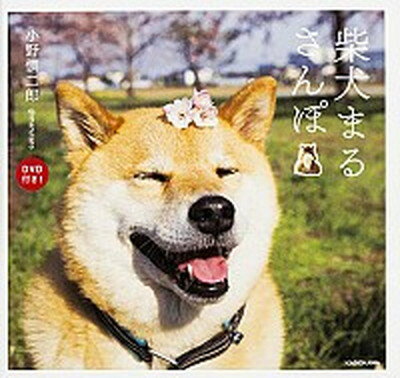 【中古】柴犬まるさんぽ /KADOKAWA/小野慎二郎（単行本）