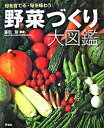 【中古】野菜づくり大図鑑 旬を育てる・旬を味わう /講談社/藤田智(単行本(ソフトカバー))