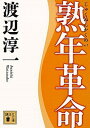 【中古】熟年革命 /講談社/渡辺淳一（文庫）