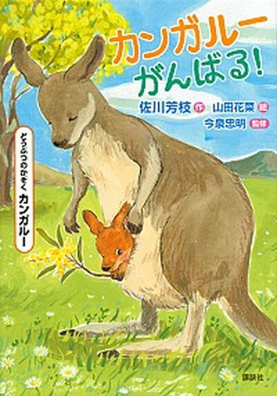 【中古】カンガルーがんばる！ /講談社/サガワ，ヨシエ（単行本）