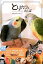 【中古】とりカフェさんぽ ♪鳥くんが行く、鳥とふれあえる関東エリアの「とりカ /イ-フェニックス/永井真人(単行本(ソフトカバー)) 721円