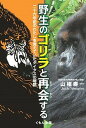 【中古】野生のゴリラと再会する 二十六年前のわたしを覚えていたタイタスの物語 /くもん出版/山極寿一（単行本）