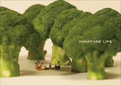 yÁzMINIATURE@LIFE /MINIATURE@CALENDAR/MINIATURE@CALENDARiPs{i\tgJo[jj