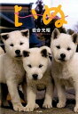 【中古】いぬ /クレヴィス/岩合光昭(文庫)