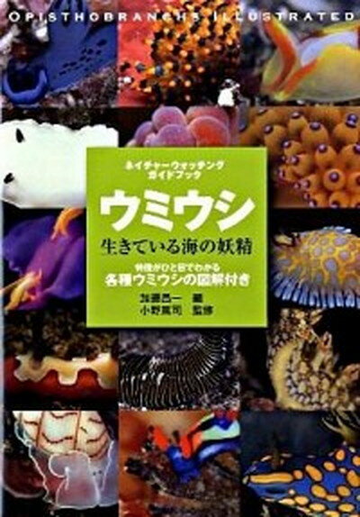 ウミウシ生きている海の妖精 特徴がひと目でわかる各種ウミウシの図解付き /誠文堂新光社/加藤昌一（単行本）