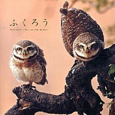 【中古】ふくろう BEAUTIFUL　OWLS　IN　THE　WOR /パイインタ-ナショナル/アフロ（単行本（ソフトカバー））