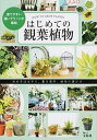 【中古】はじめての観葉植物 /宝島社(大型本)