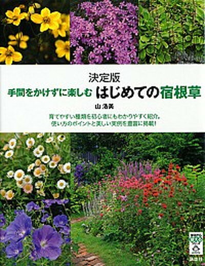 手間をかけずに楽しむはじめての宿根草 育てやすい種類を初心者にもわかりやすく紹介。使い方