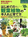 【中古】はじめての観葉植物の手入れと育て方 基礎の基礎からよくわかる /ナツメ社/橋詰二三夫 単行本 ソフトカバー 