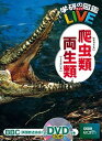 【中古】爬虫類・両生類 /学研プラス/森哲(大型本)(3)