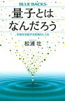 【中古】量子とはなんだろう 宇宙を支配する究極のしくみ /講談社/松浦壮（新書）