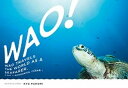 【中古】WAO! 海の旅人、ワオの物語。 /小学館/古見きゅう(ムック)