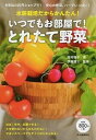 【中古】いつでもお部屋で!とれたて野菜 水耕栽培だからかんたん! /河出書房新社/河村毬子(単行本)