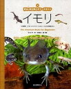 【中古】イモリ 有尾類/アカハライモリ・アホロ-トルの仲間たち /誠文堂新光社/佐々木亨(単行本)