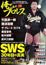 【中古】俺たちのプロレス VOL.15 /双葉社(ムック)