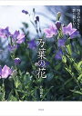【中古】万葉の花 四季の花々と歌に親しむ /青幻舎/片岡寧豊(単行本)
