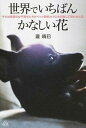 世界でいちばんかなしい花 それは青森の女子高生たちがペット殺処分ゼロを目指し /ギャンビット/瀧晴巳（単行本（ソフトカバー））
