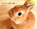 【中古】うさぎのモキュ様 /パイインタ-ナショナル/ImaiTomoko(単行本(ソフトカバー))